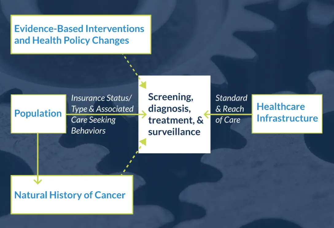 A graphic describing screening, diagnosis, treatment and surveillance.